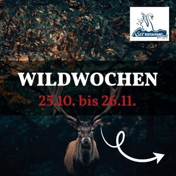 2023 Insta Post_Wildwochen