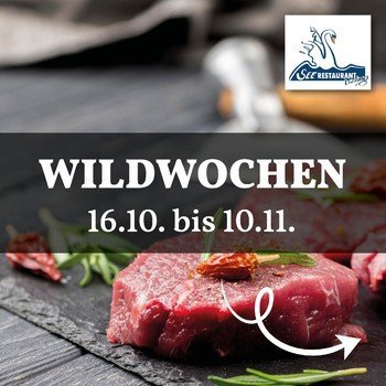 2024 Insta Post_Wildwochen