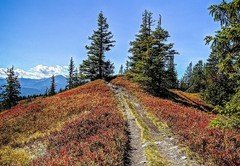 2021 Kaiserau Lahngang_2569