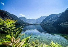 2022 Hallstatt_2736_jpg